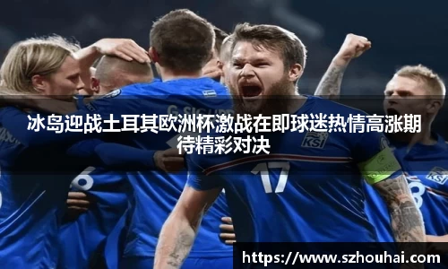 冰岛迎战土耳其欧洲杯激战在即球迷热情高涨期待精彩对决