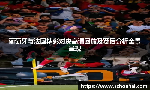 葡萄牙与法国精彩对决高清回放及赛后分析全景呈现